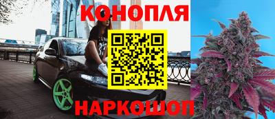 стаф Бузулук