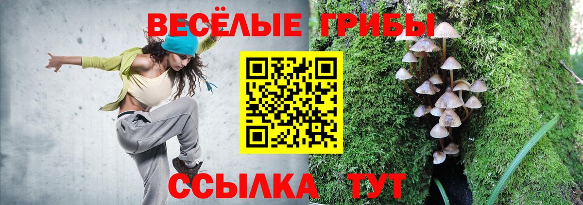 Галлюциногенные грибы мухоморы Псков